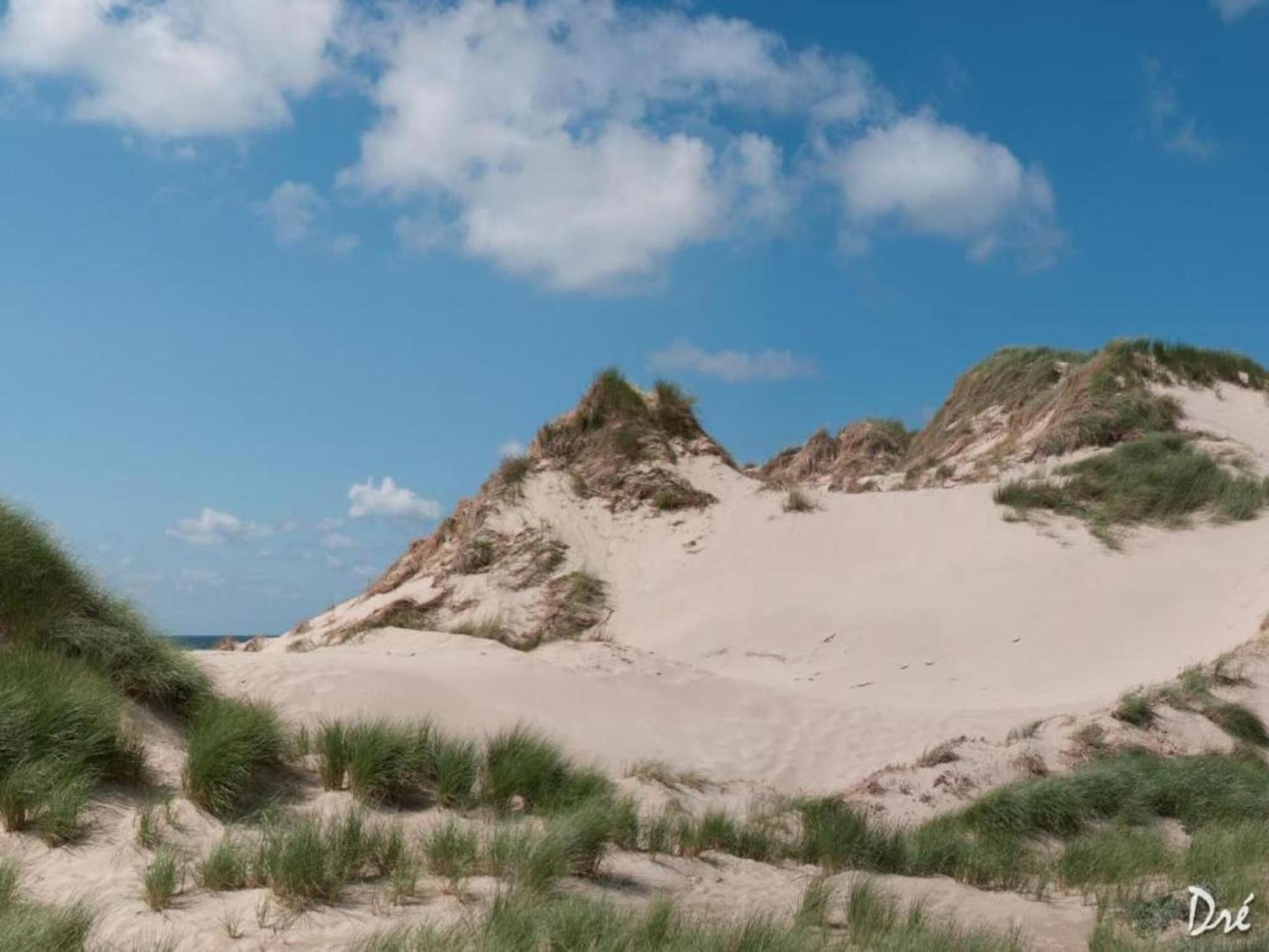 Charming Holiday Home in Egmond aan Zee near Seabeach Nightlife Buitenkant foto